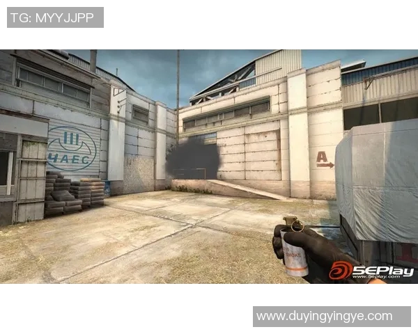 CSGO赛事中JDG反击策略的得失分析与战术反思